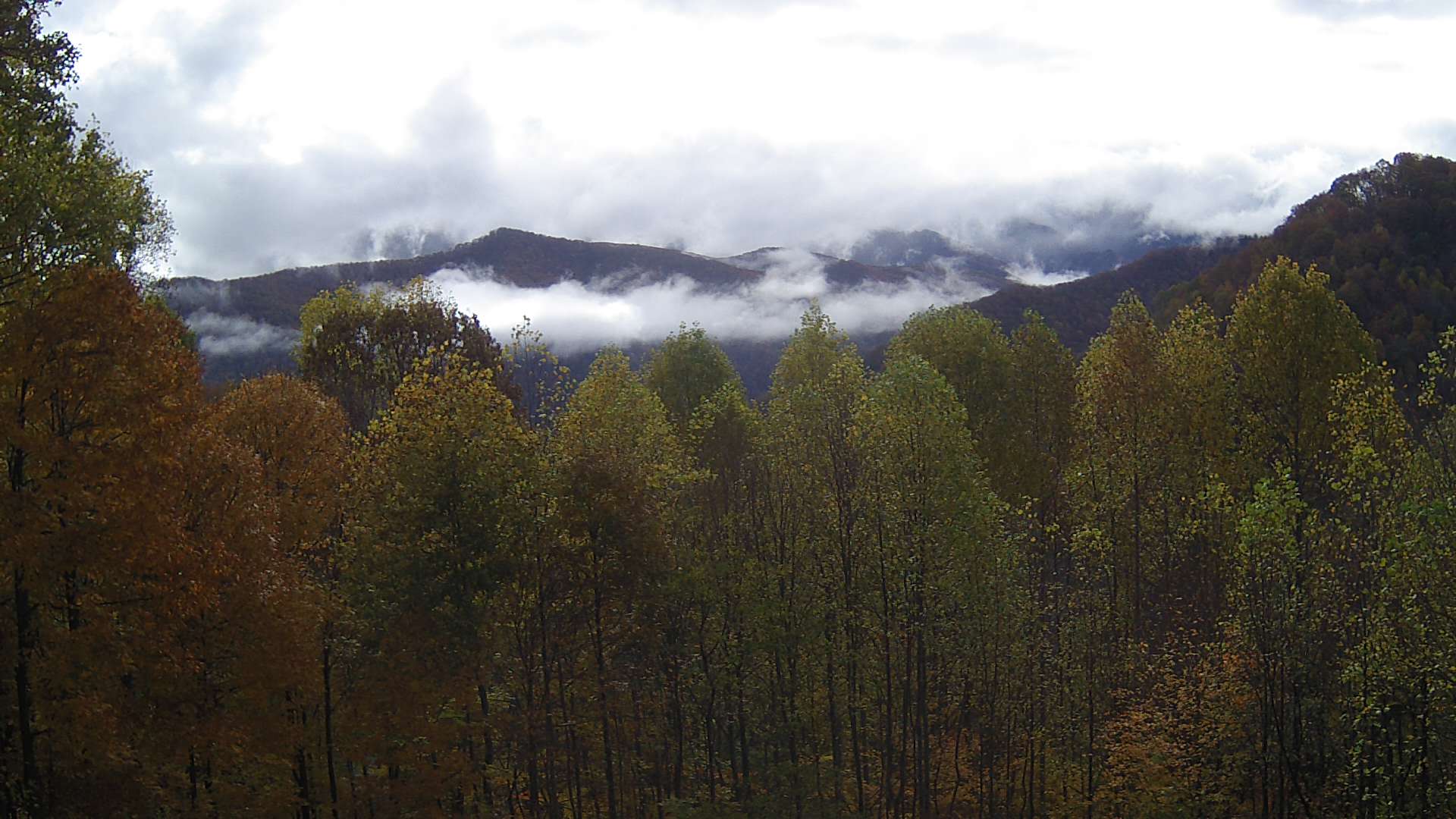 click for next image... slideshow image