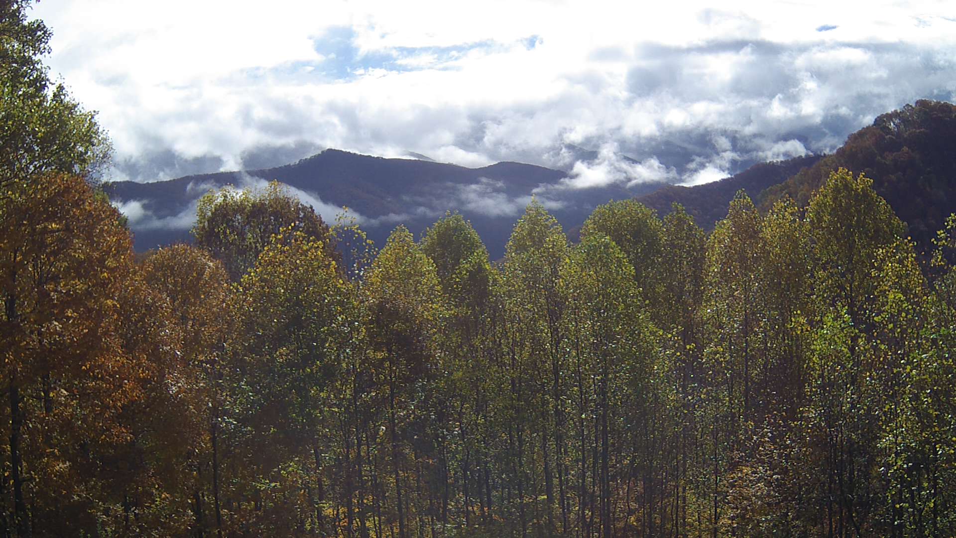 click for next image... slideshow image