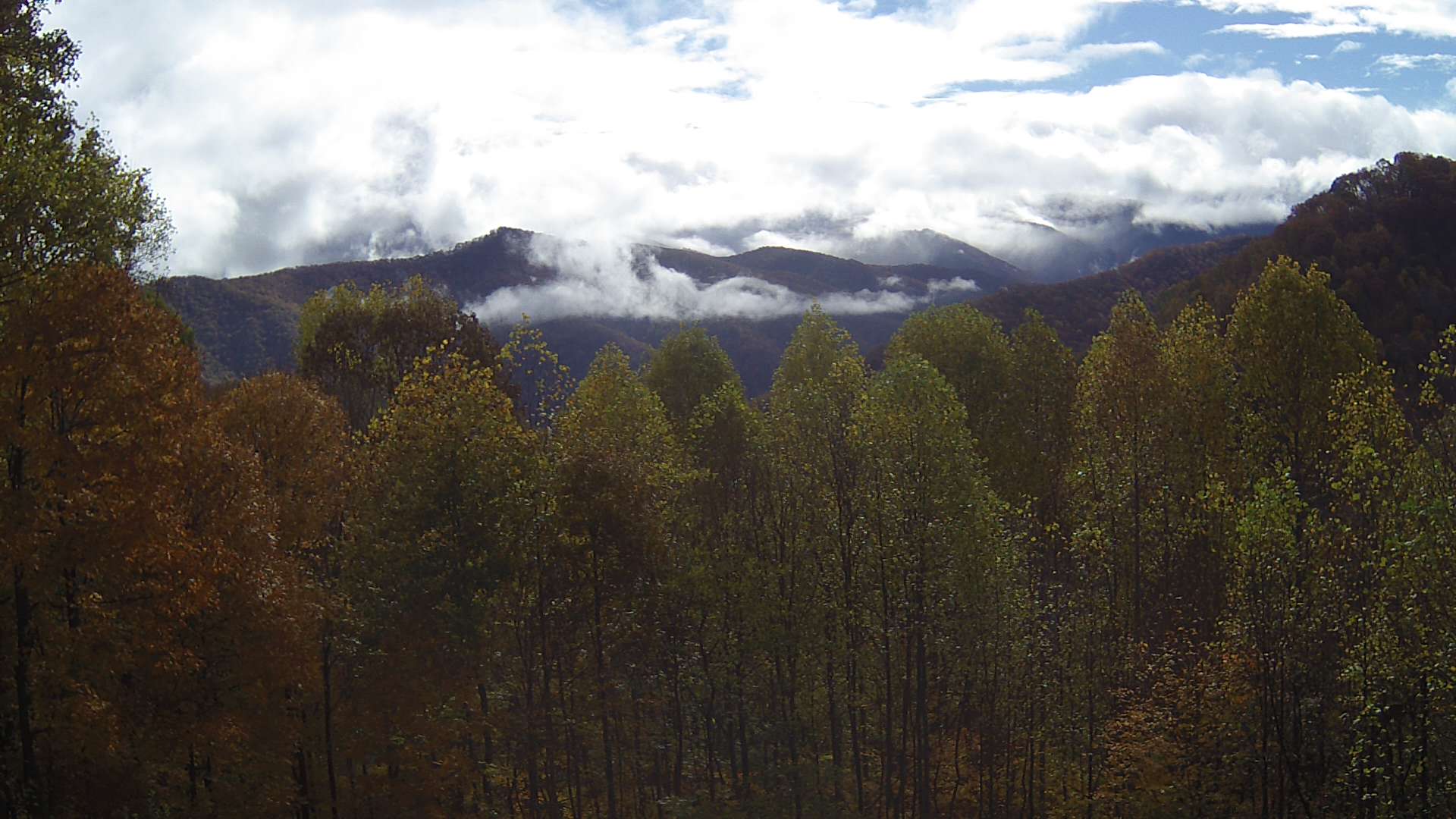 click for next image... slideshow image