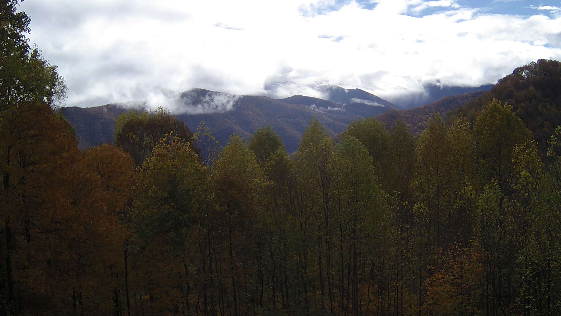 click for next image... slideshow image