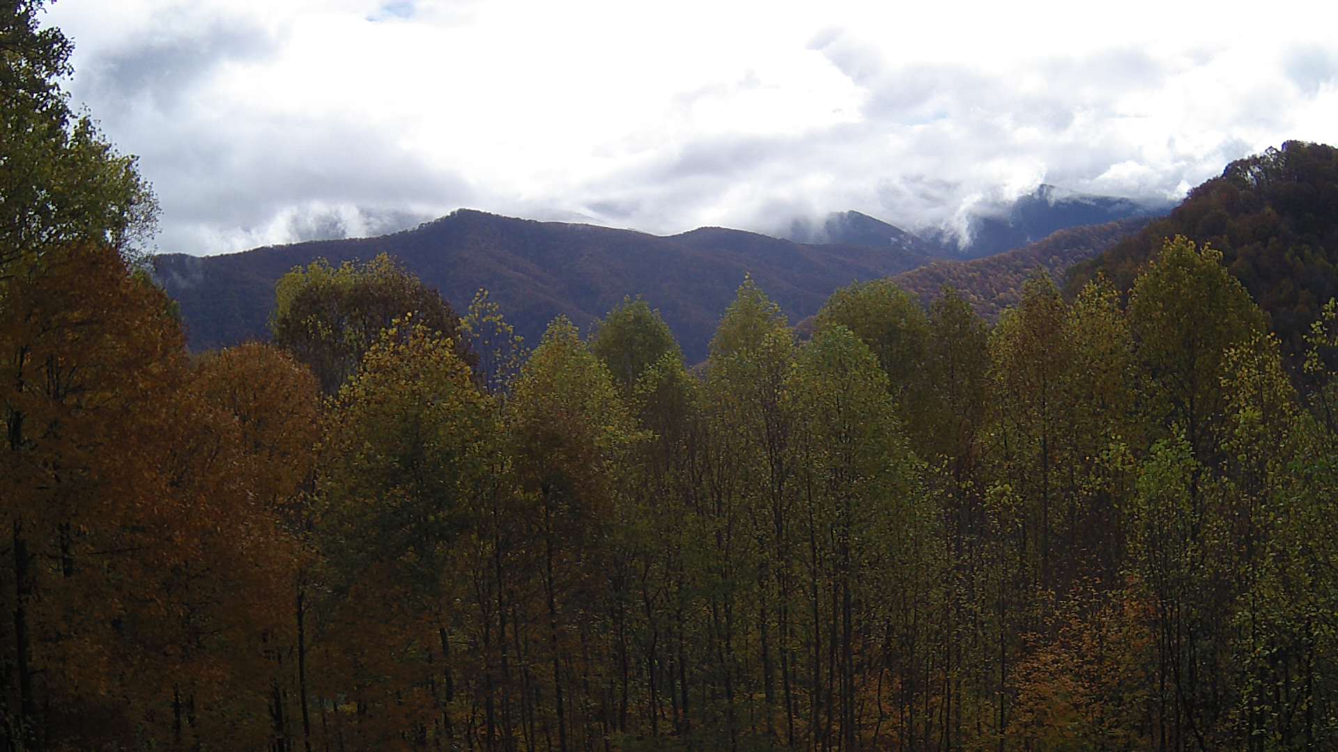 click for next image... slideshow image