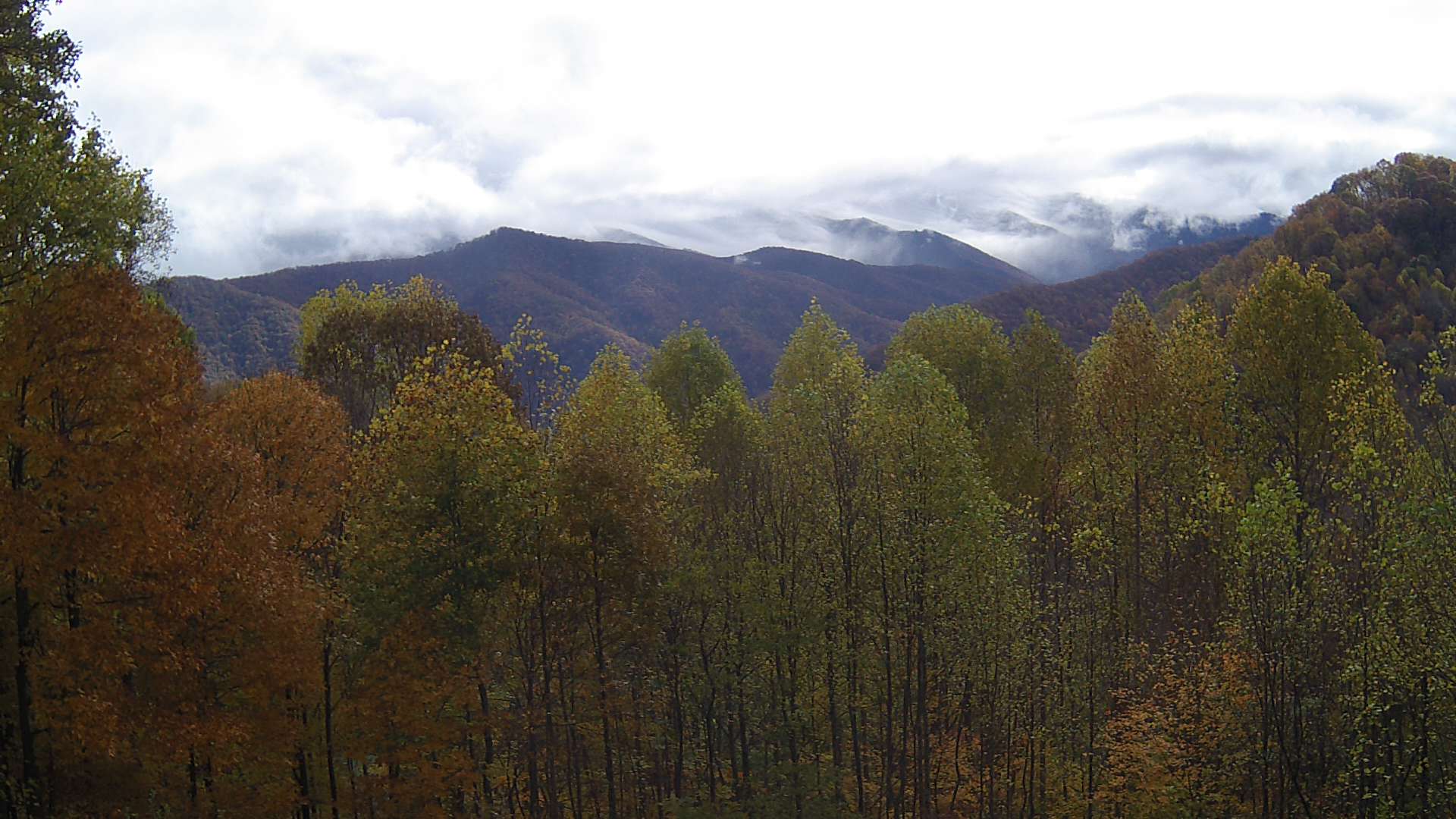 click for next image... slideshow image