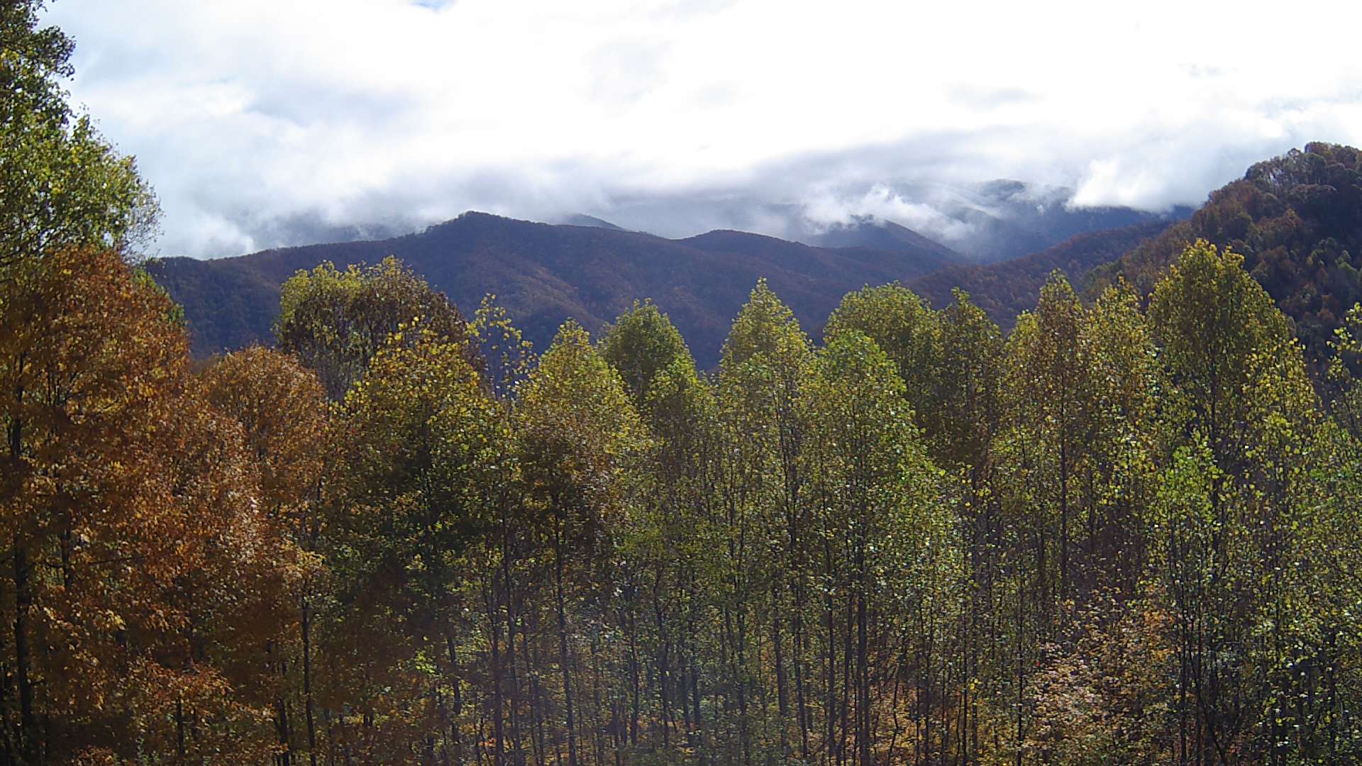 click for next image... slideshow image