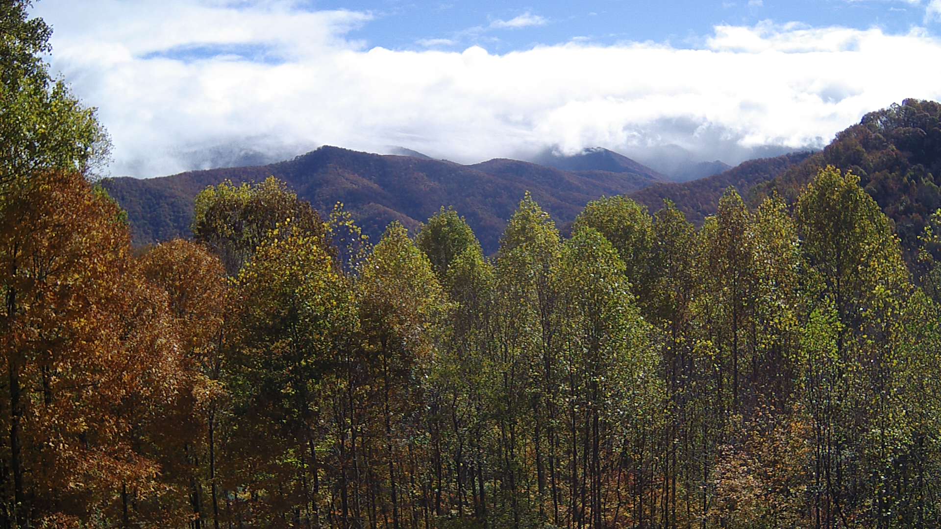 click for next image... slideshow image