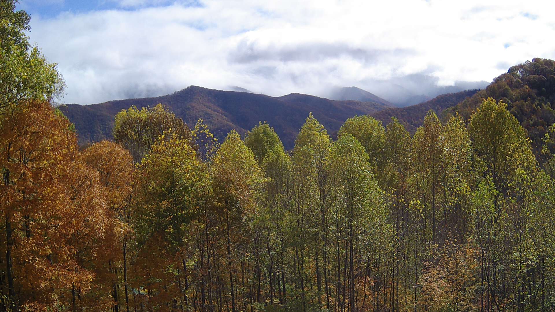 click for next image... slideshow image