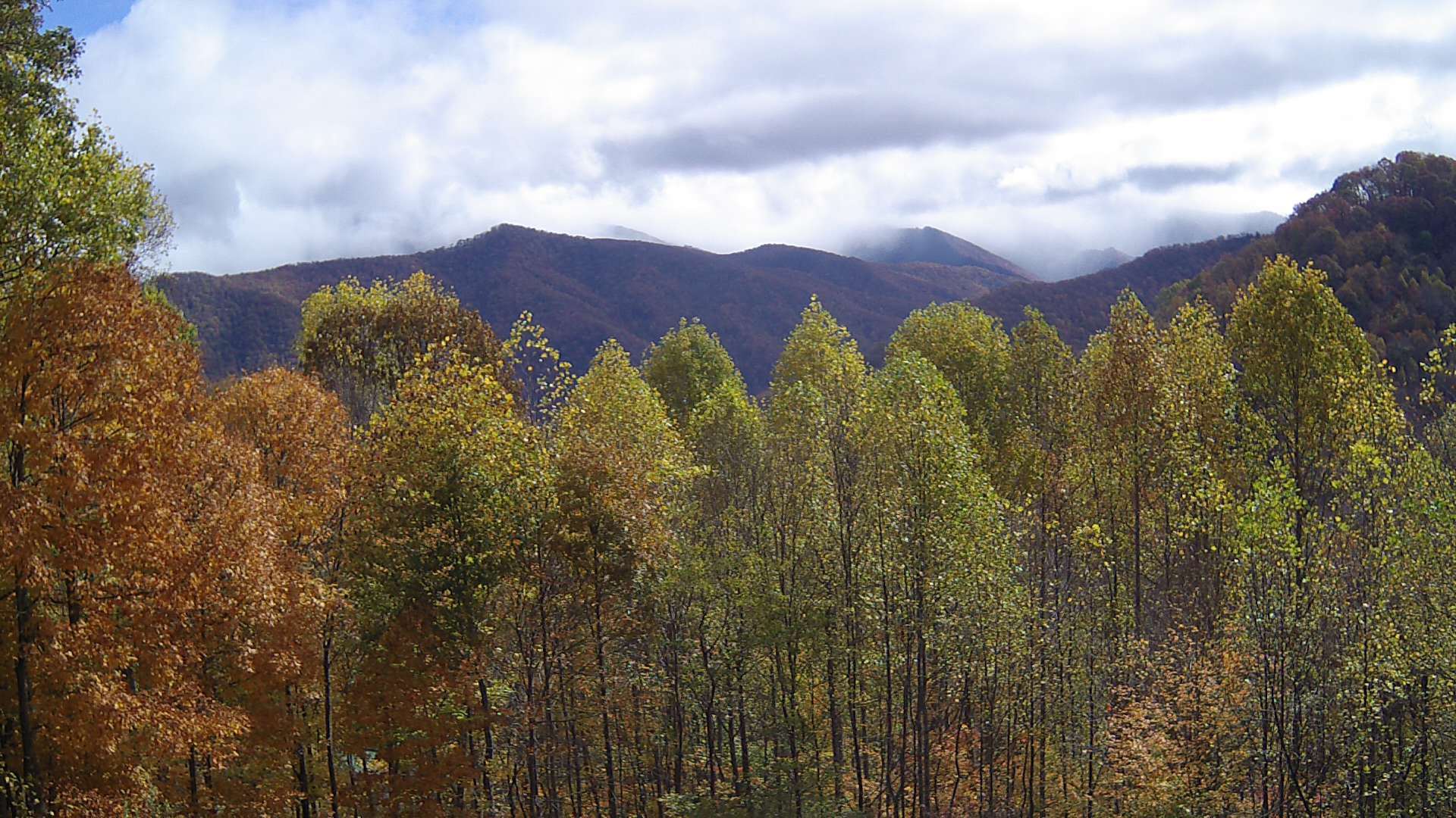 click for next image... slideshow image