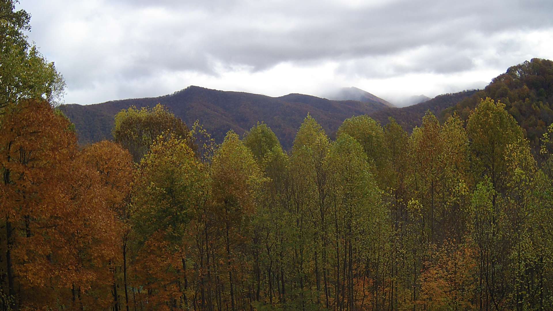 click for next image... slideshow image