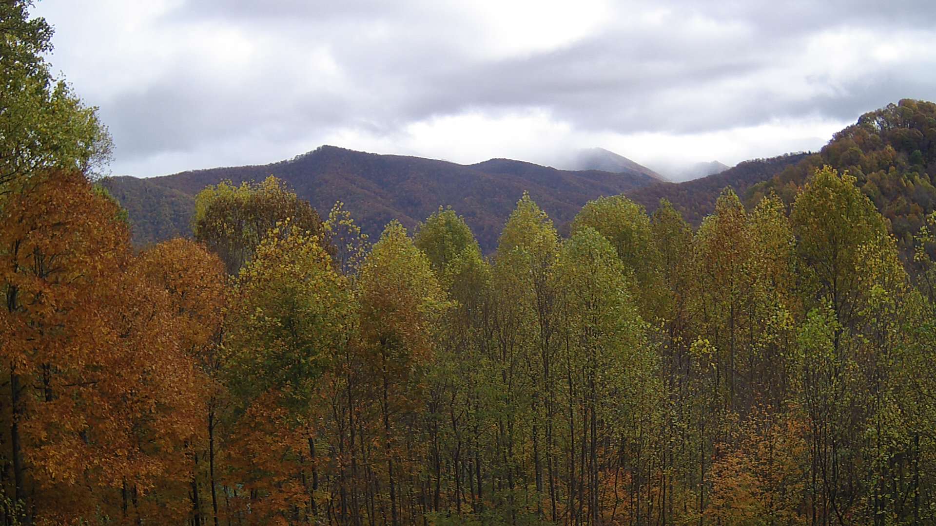 click for next image... slideshow image