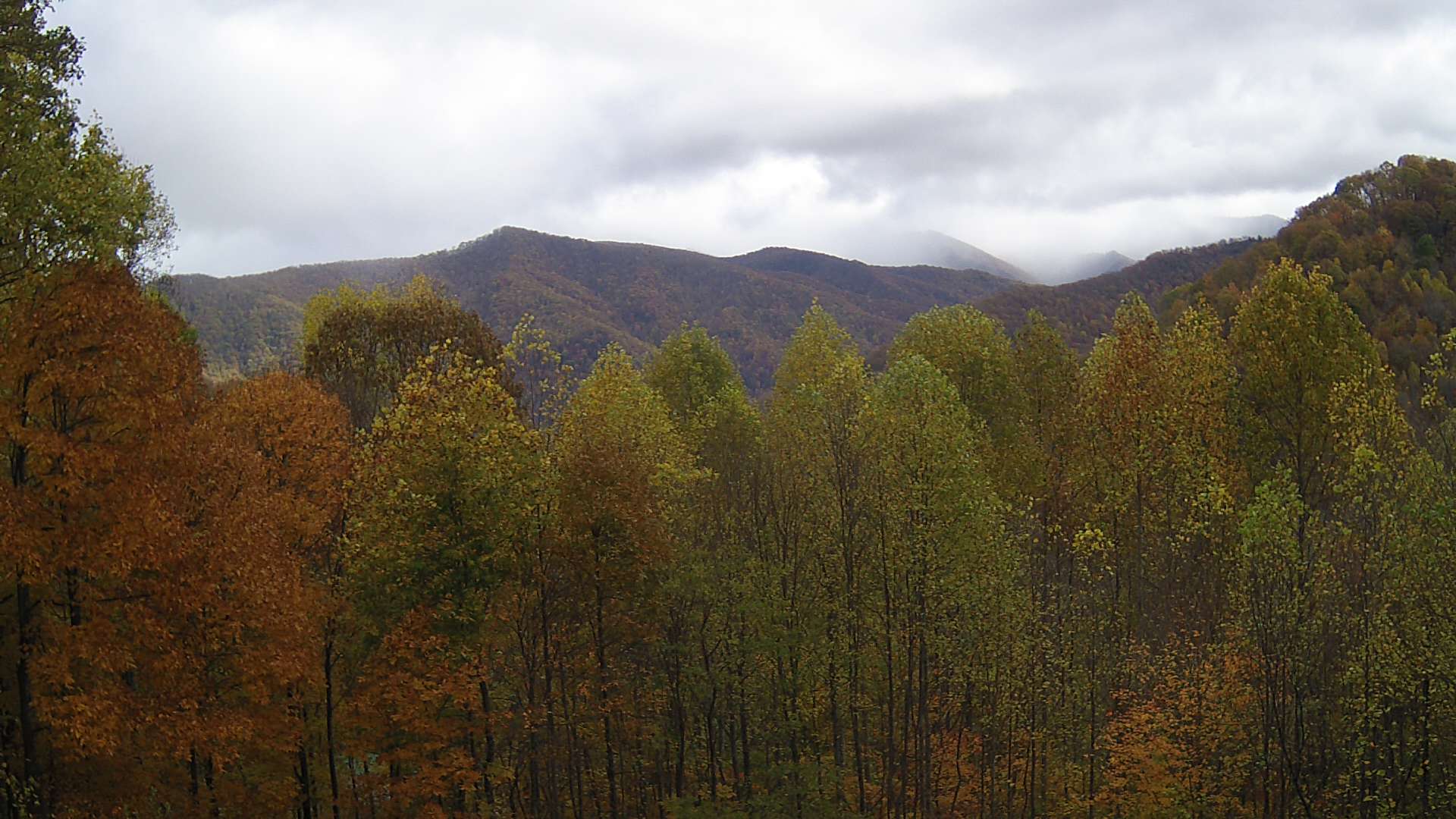 click for next image... slideshow image