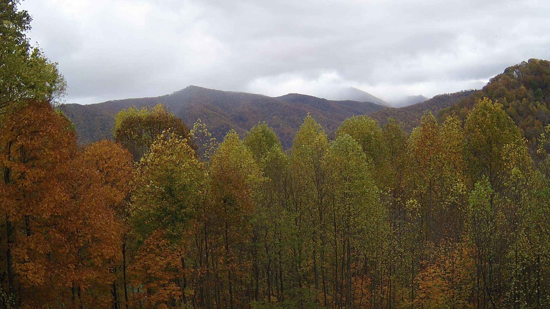 click for next image... slideshow image