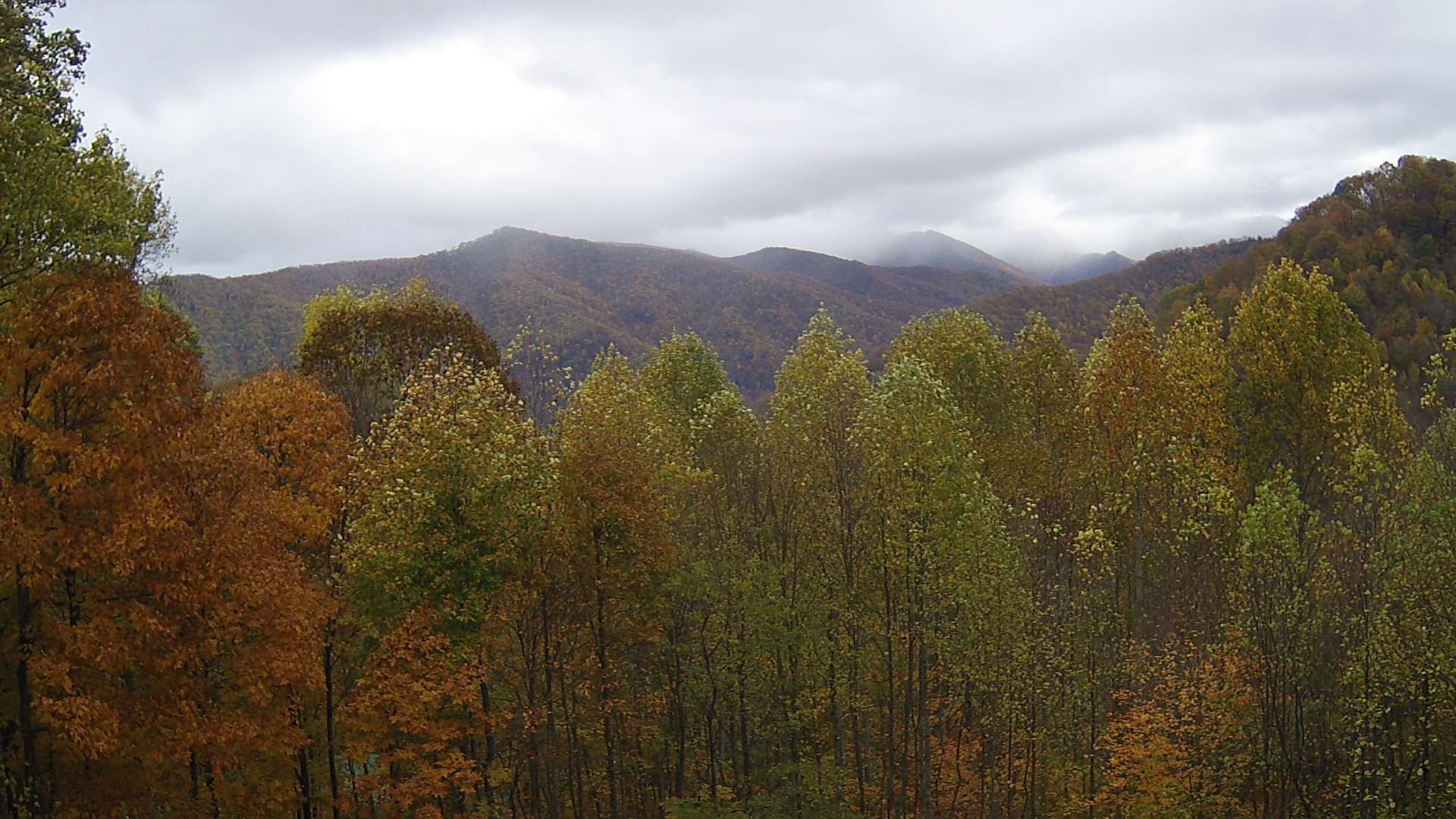 click for next image... slideshow image