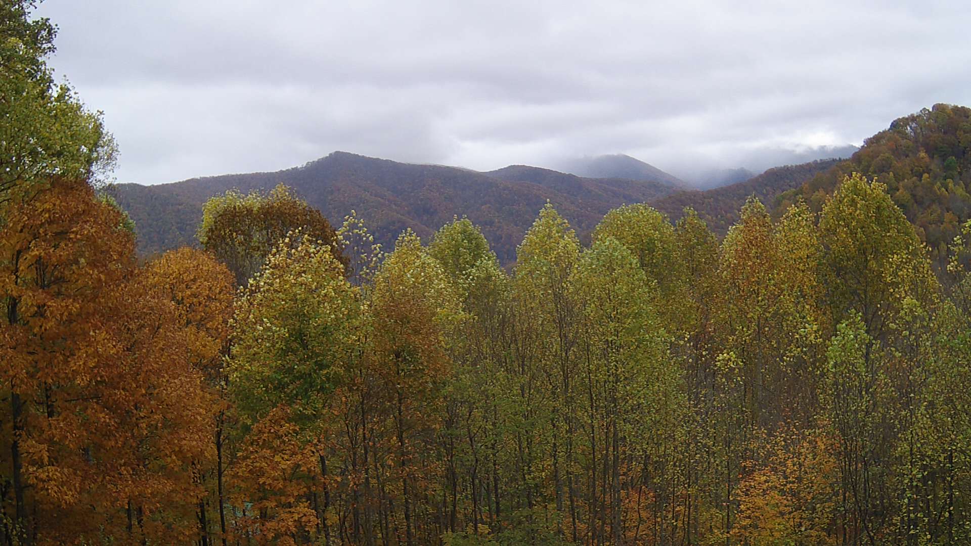 click for next image... slideshow image