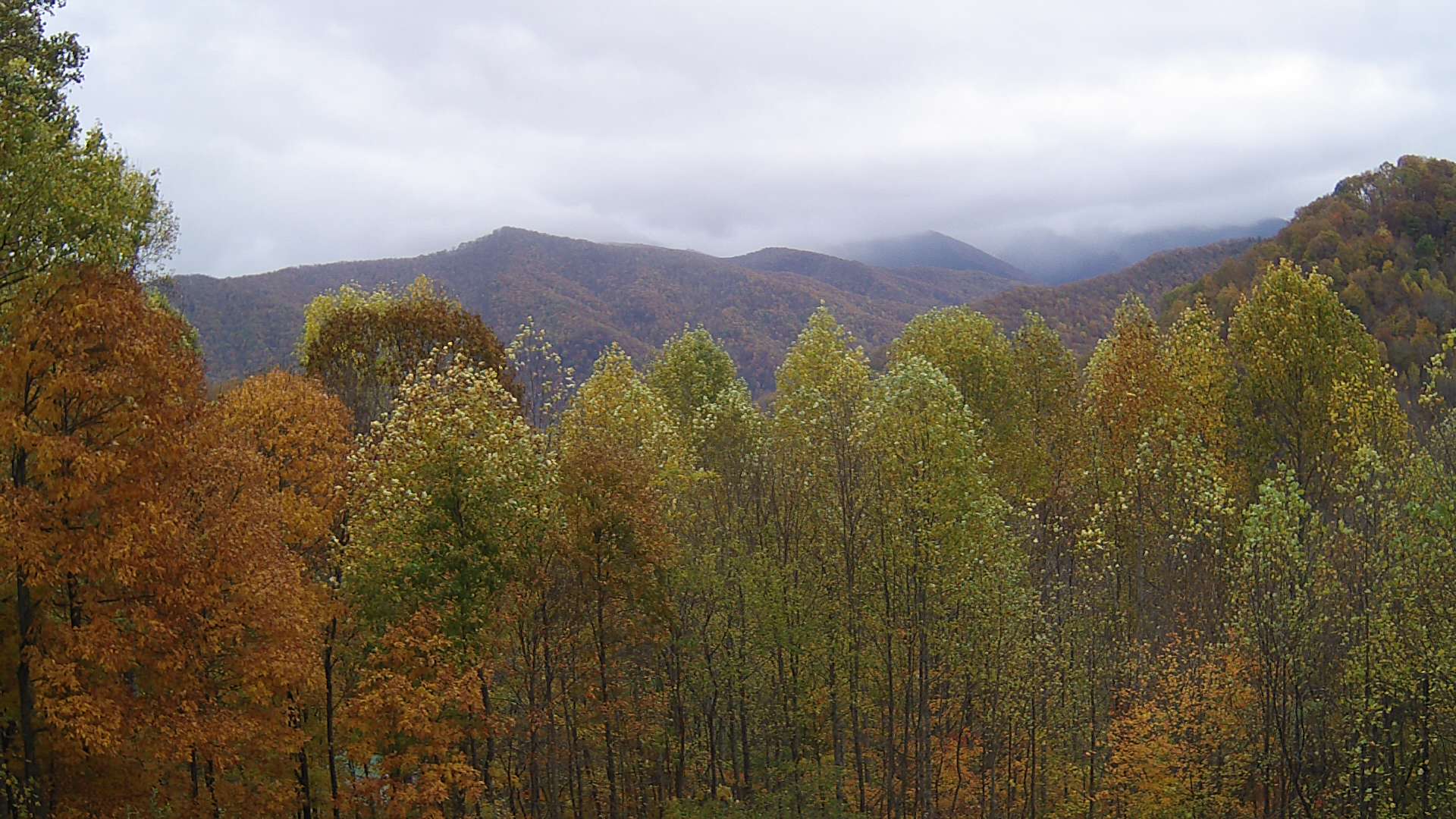 click for next image... slideshow image