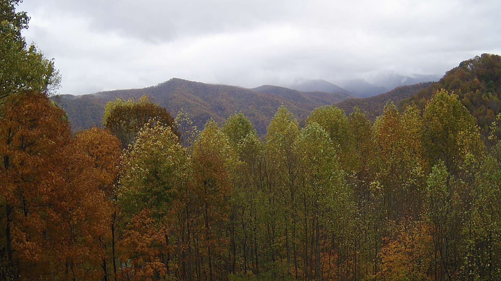 click for next image... slideshow image