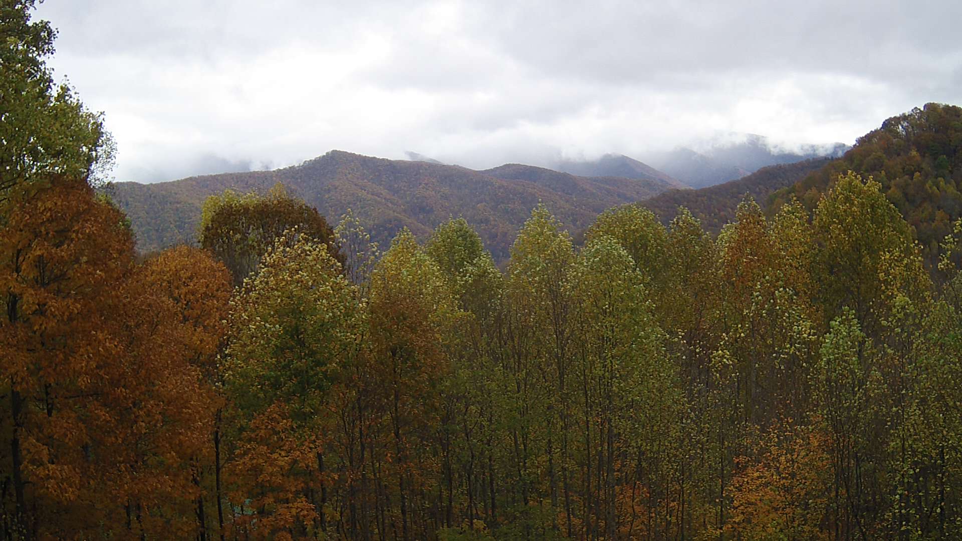 click for next image... slideshow image