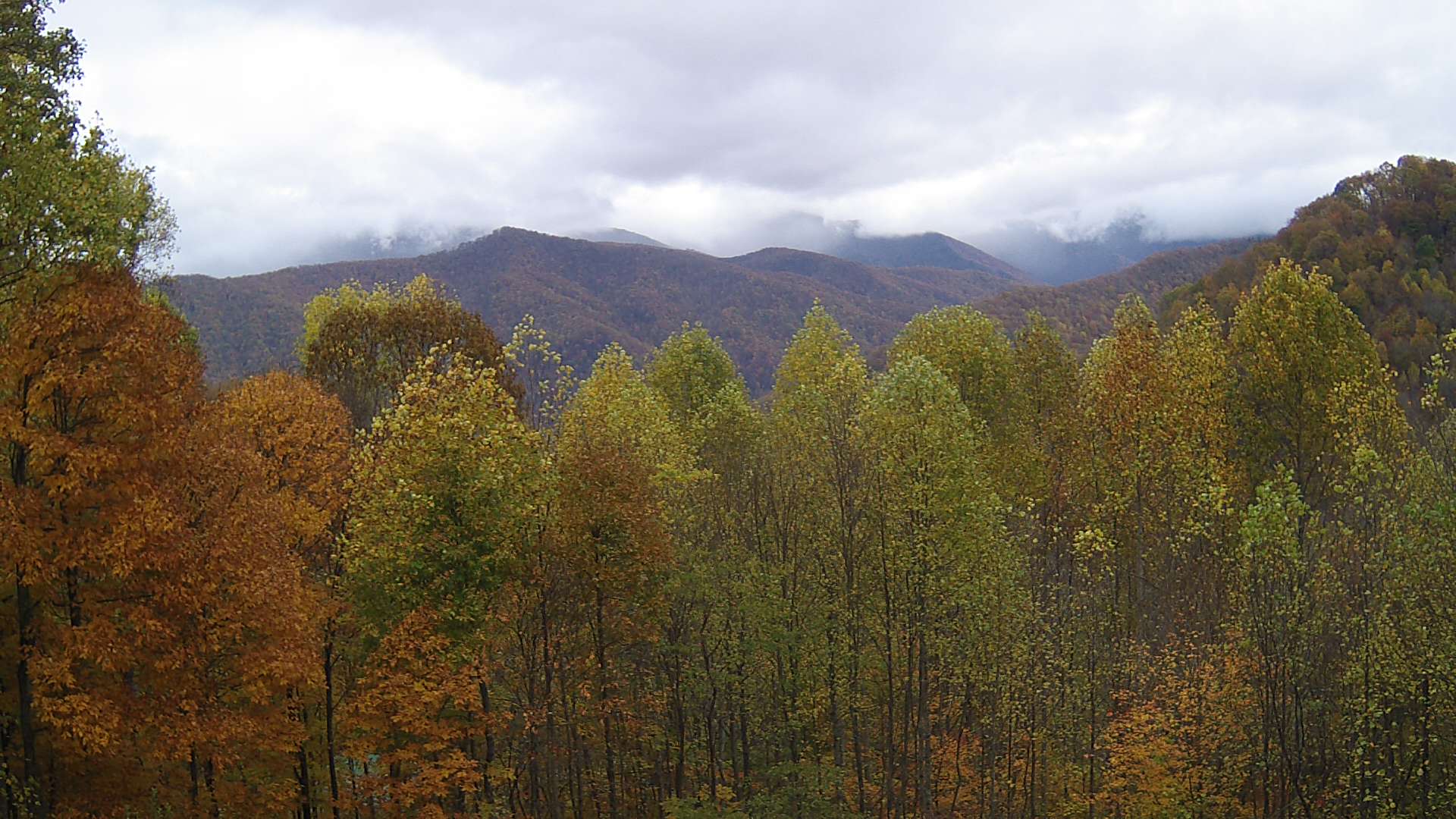 click for next image... slideshow image