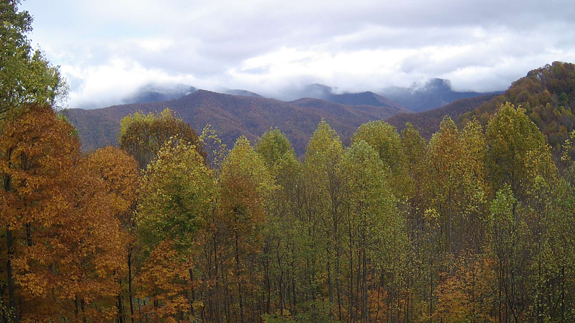 click for next image... slideshow image