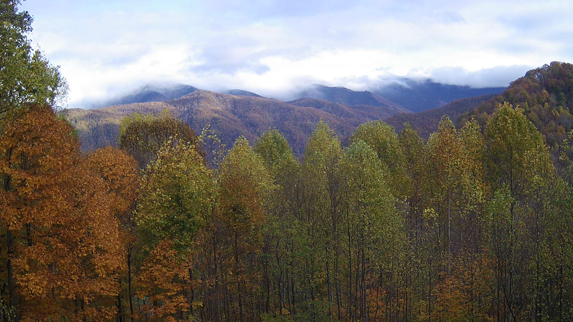 click for next image... slideshow image