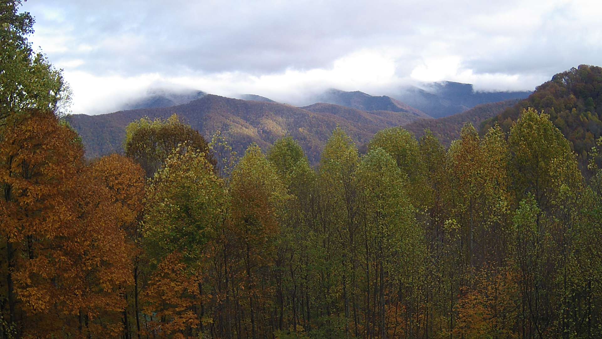 click for next image... slideshow image