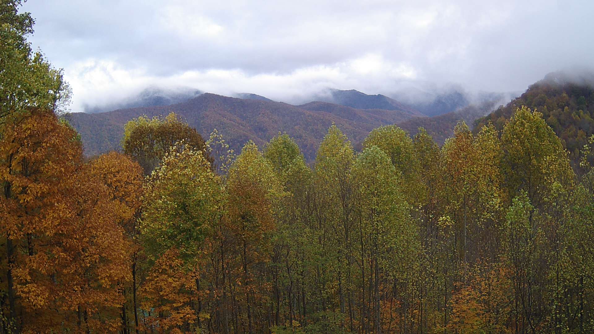 click for next image... slideshow image