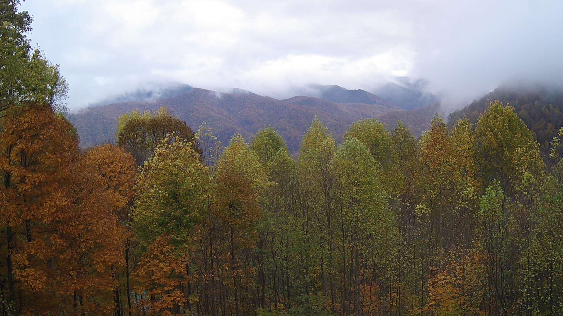 click for next image... slideshow image