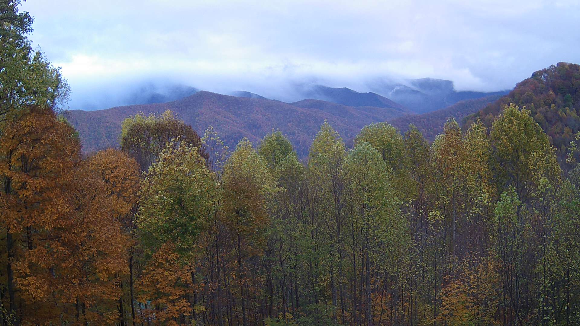 click for next image... slideshow image