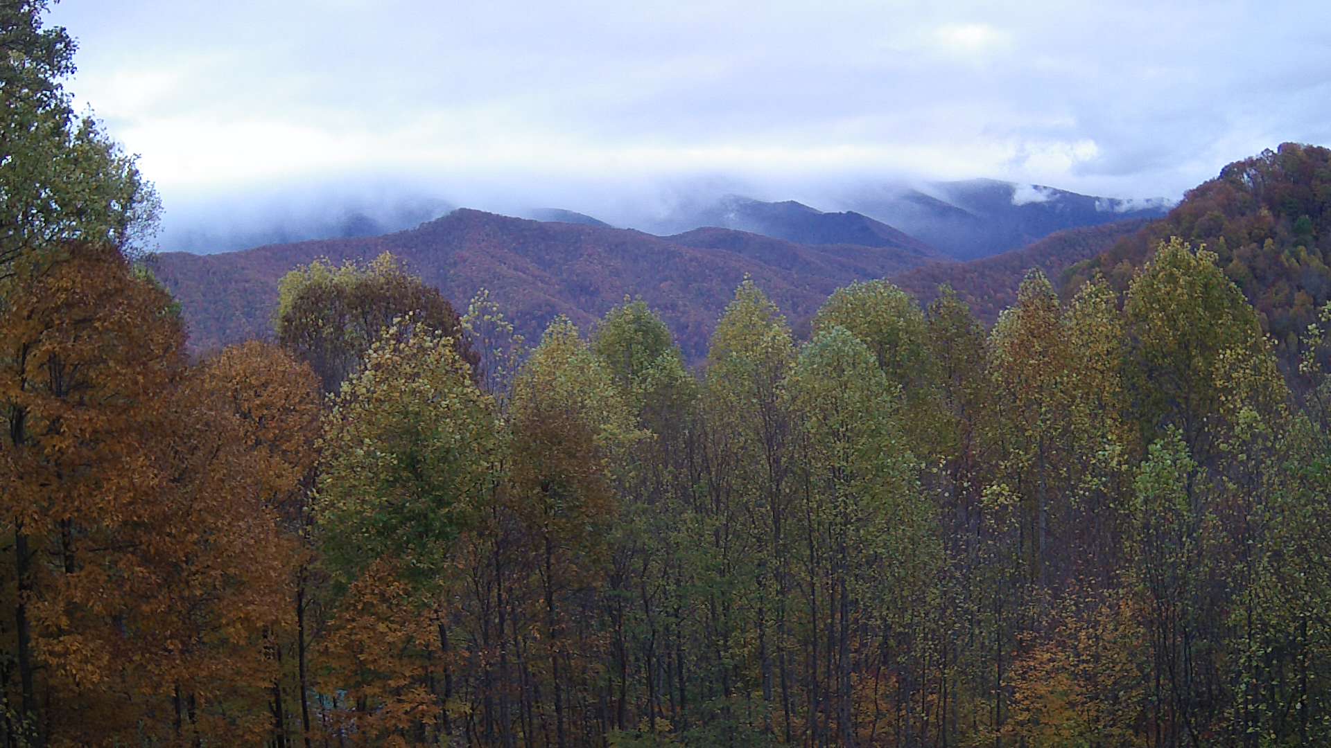 click for next image... slideshow image