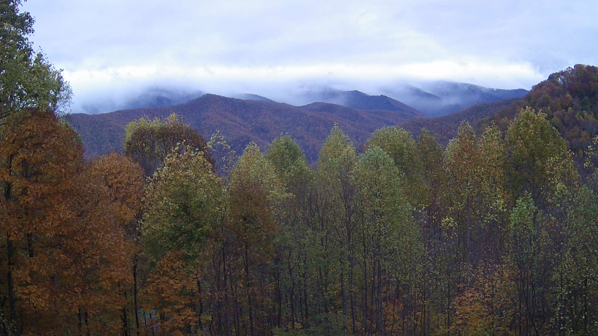 click for next image... slideshow image