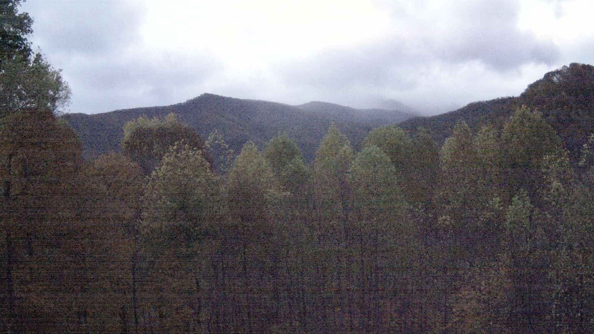 click for next image... slideshow image