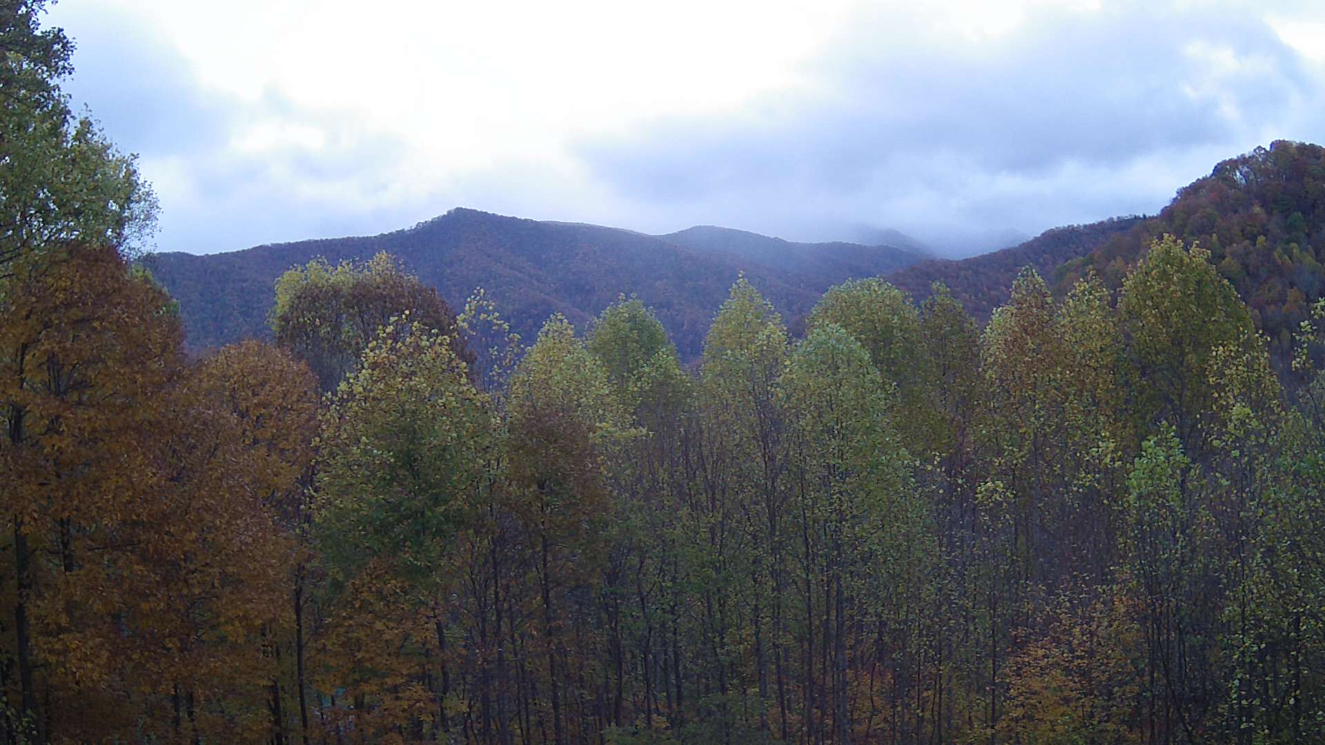 click for next image... slideshow image