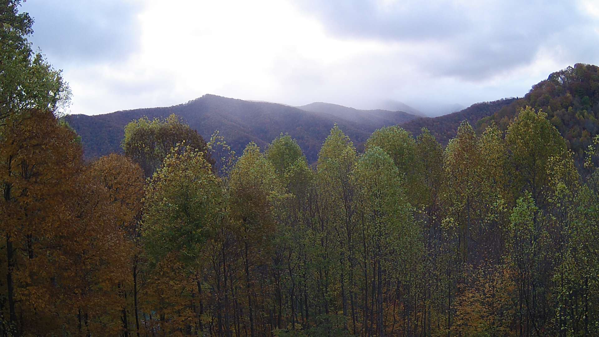 click for next image... slideshow image