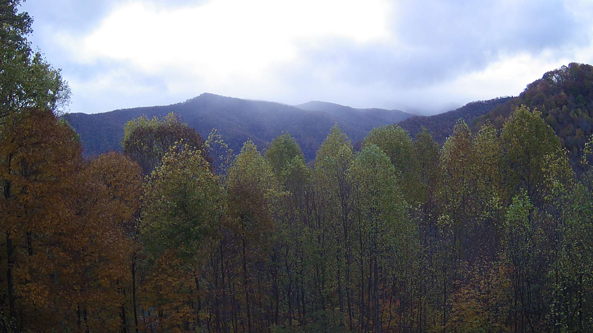 click for next image... slideshow image