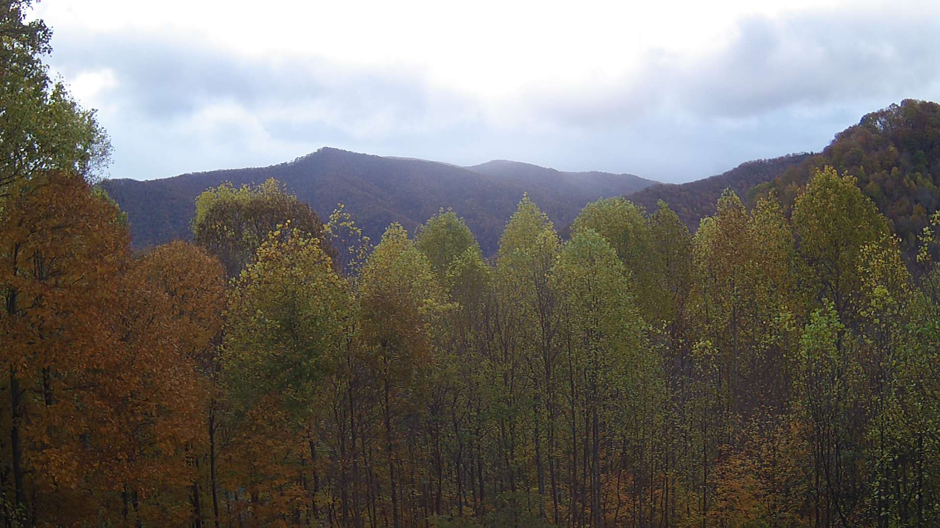 click for next image... slideshow image