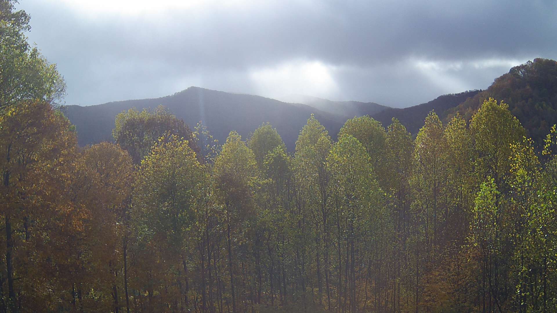 click for next image... slideshow image