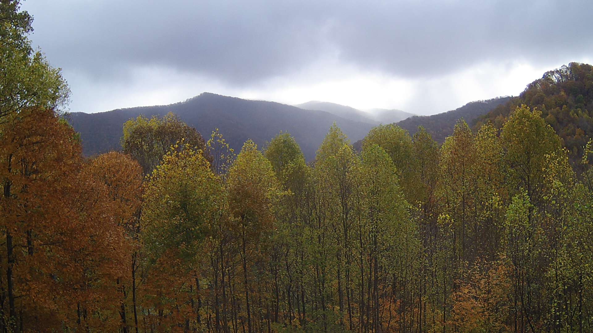 click for next image... slideshow image