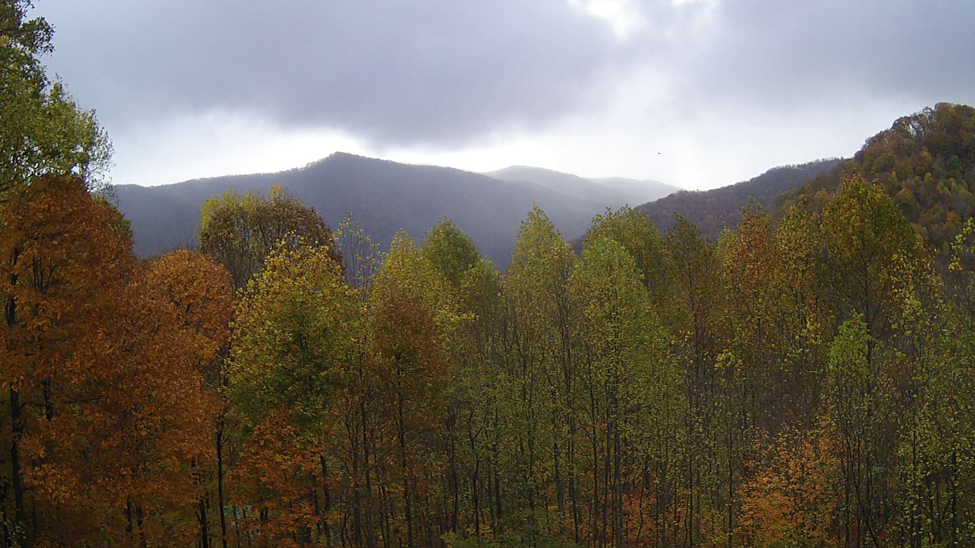 click for next image... slideshow image