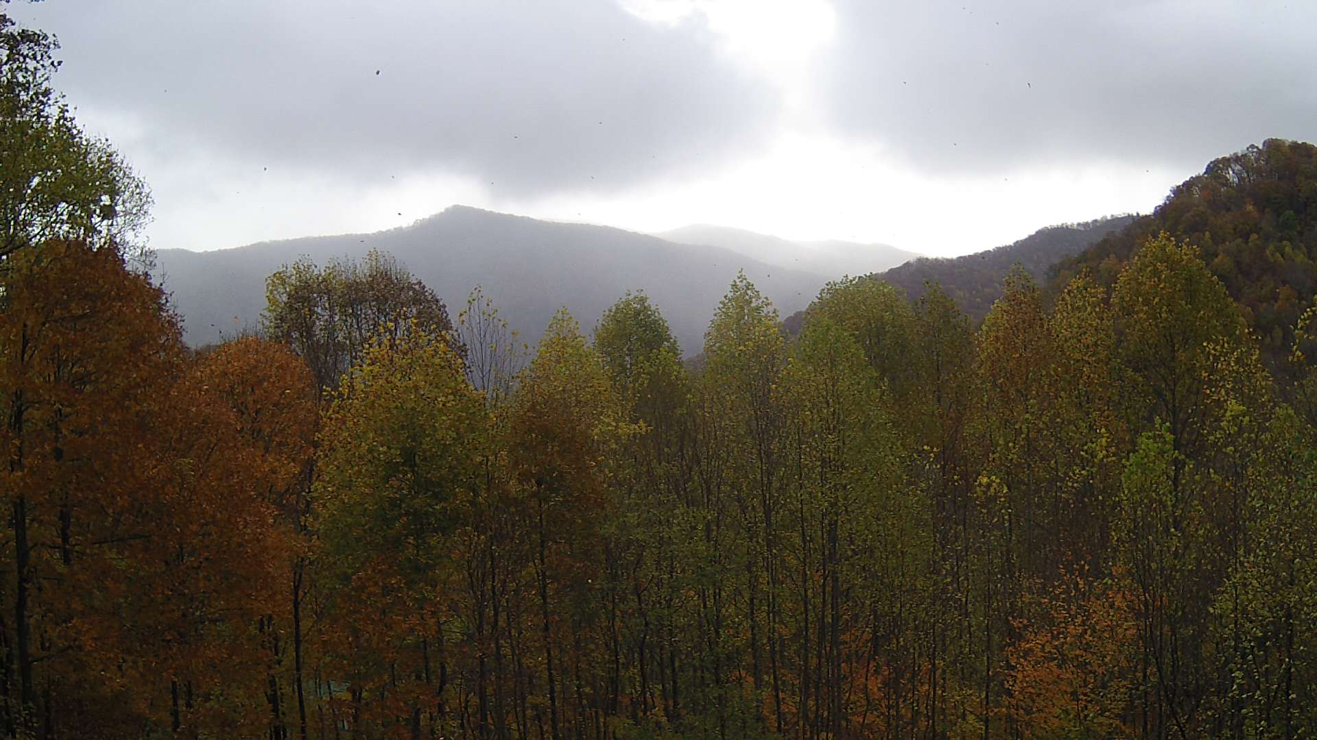 click for next image... slideshow image