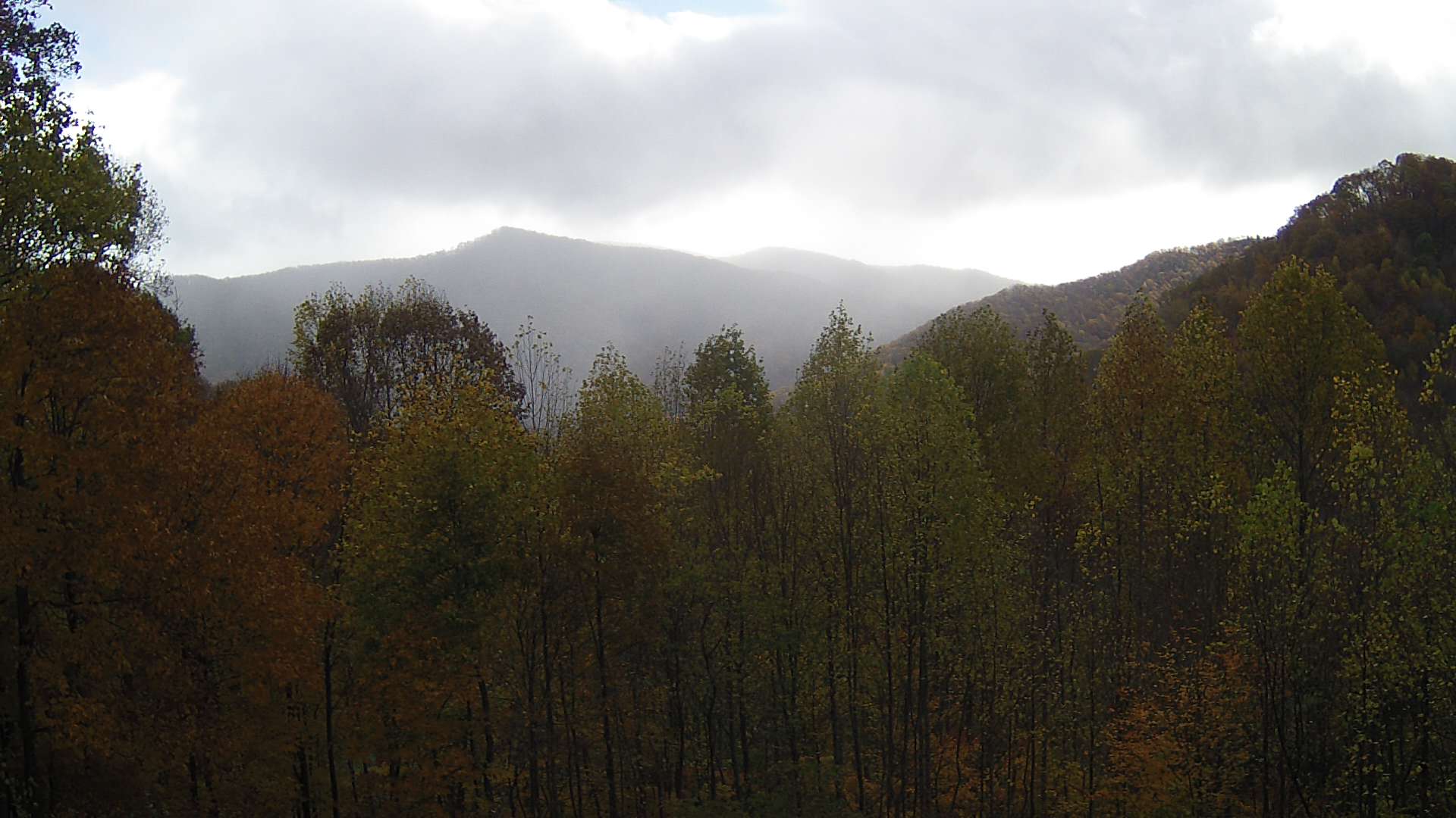 click for next image... slideshow image