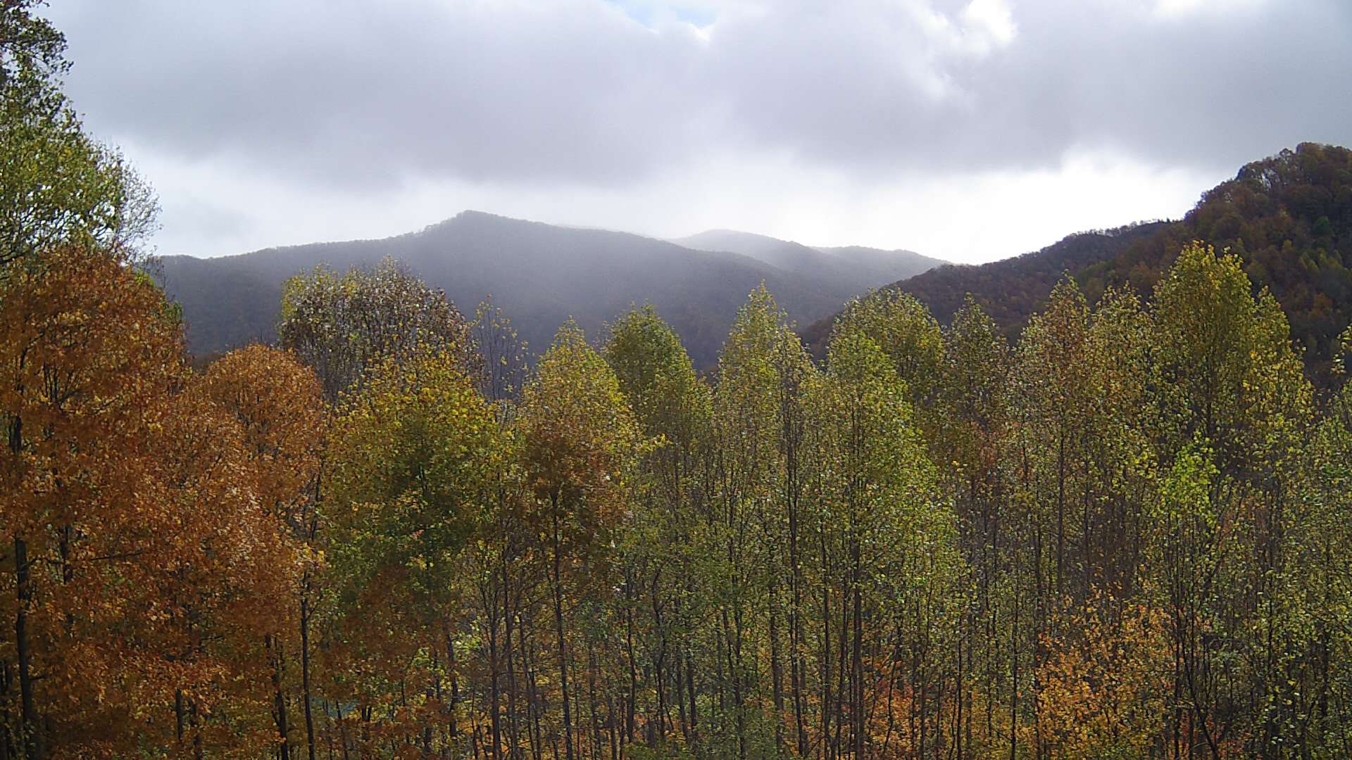 click for next image... slideshow image