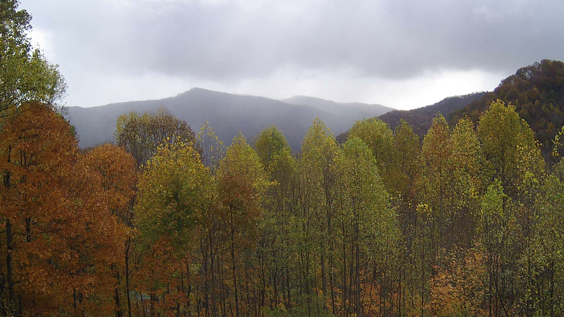 click for next image... slideshow image