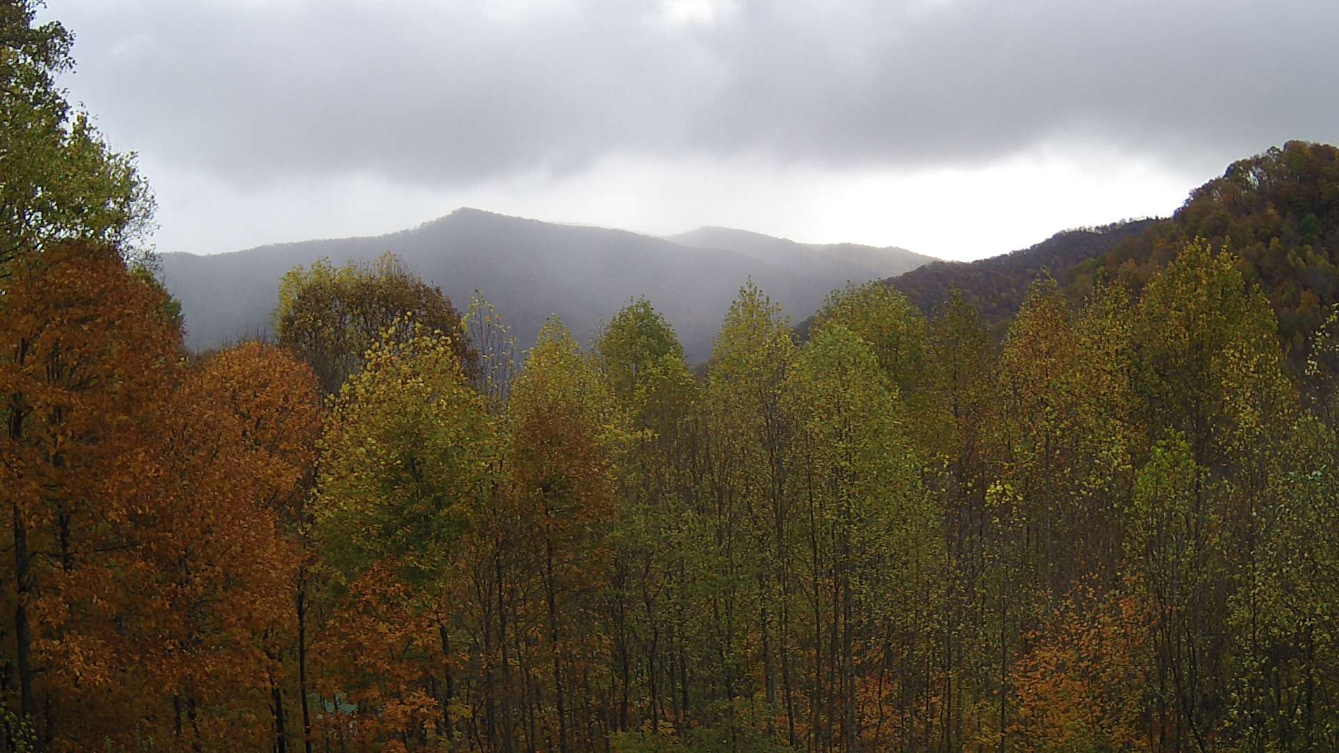 click for next image... slideshow image