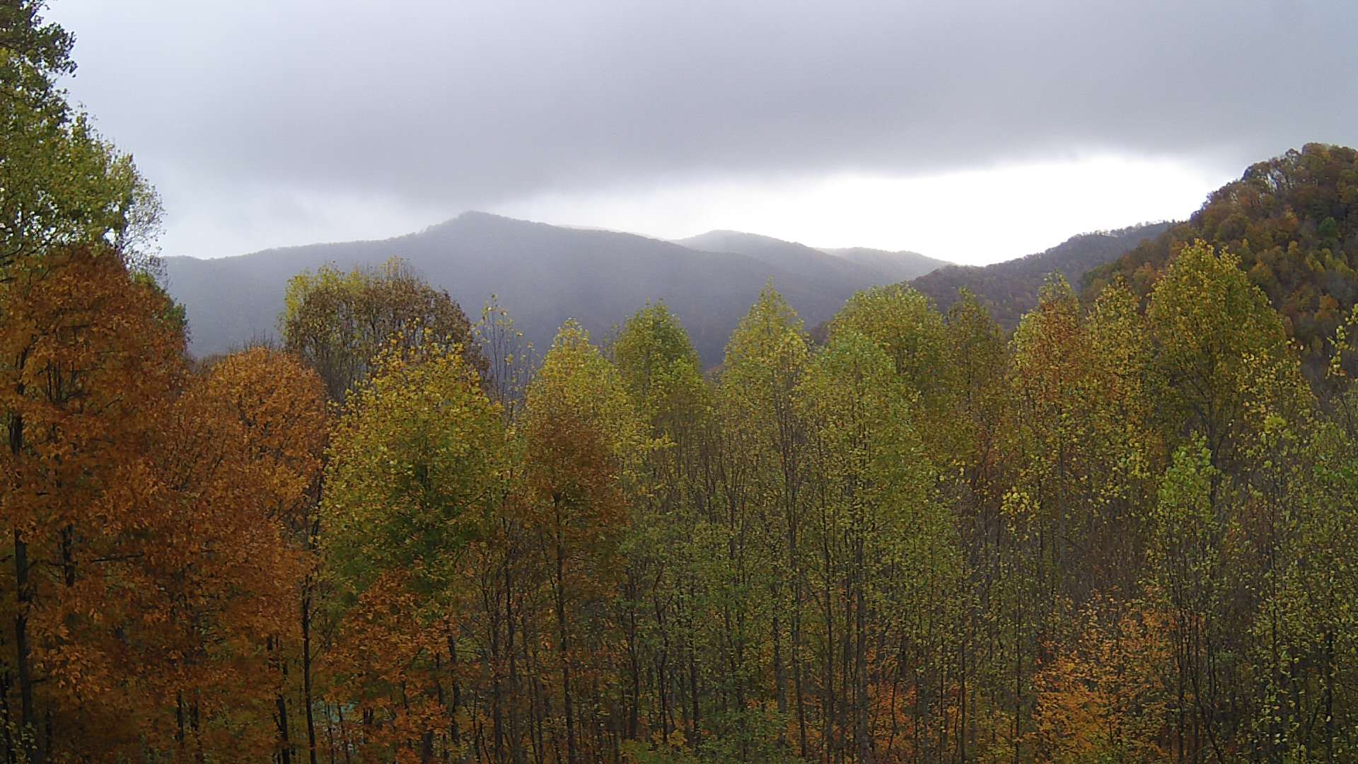 click for next image... slideshow image