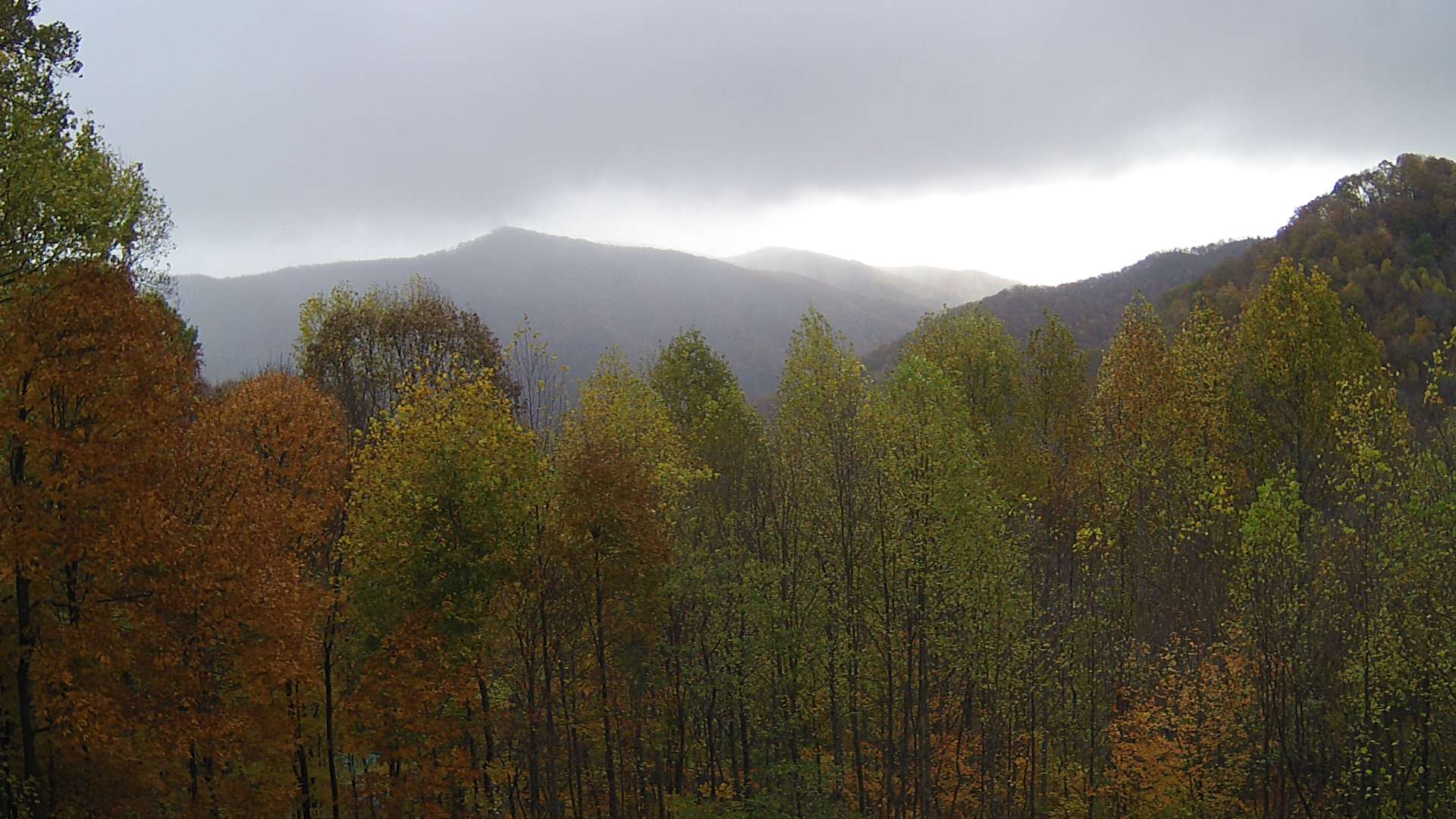 click for next image... slideshow image