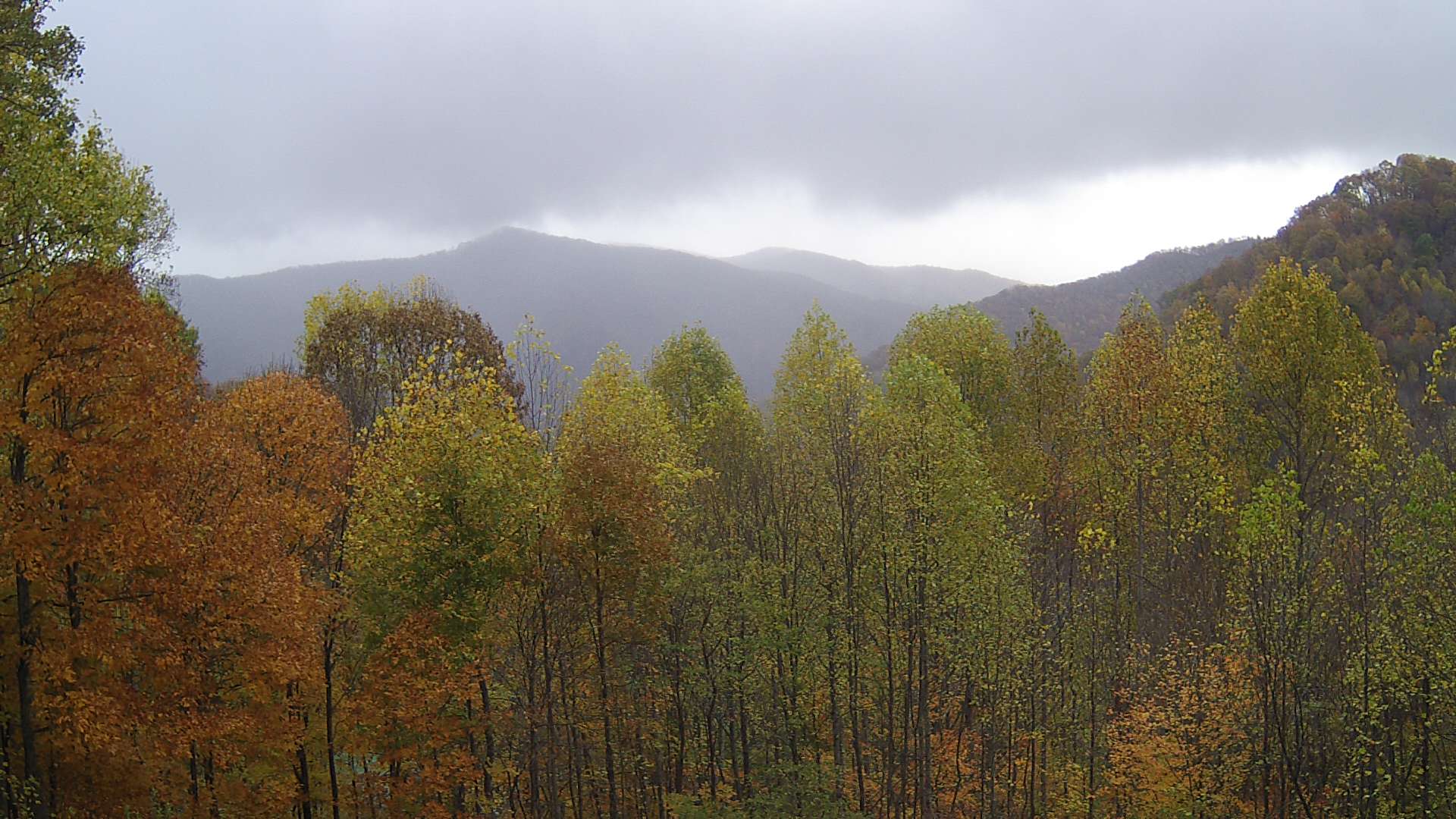 click for next image... slideshow image