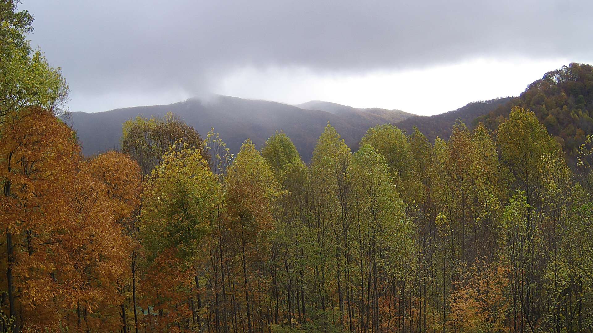 click for next image... slideshow image