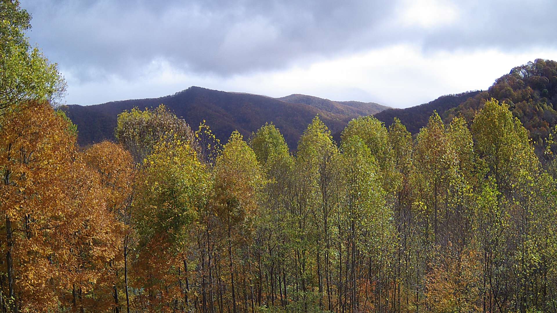 click for next image... slideshow image