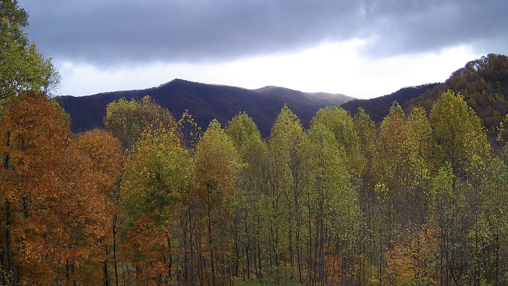 click for next image... slideshow image