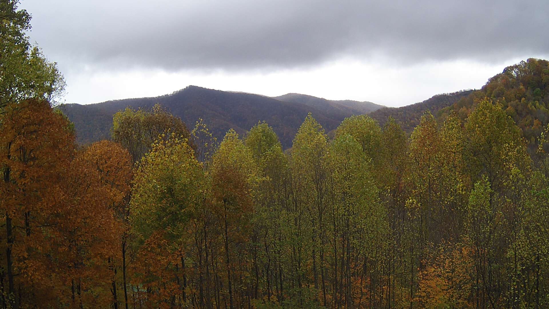 click for next image... slideshow image