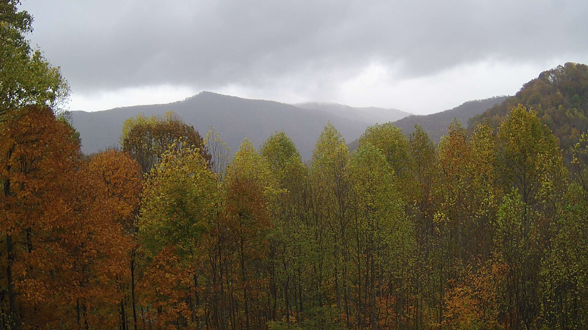 click for next image... slideshow image