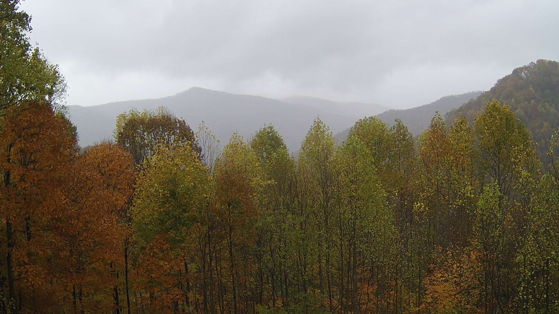 click for next image... slideshow image